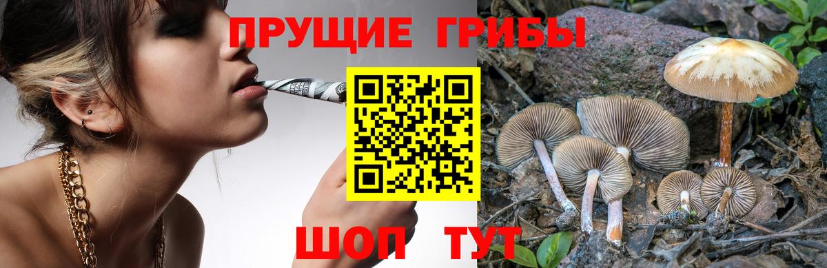 Галлюциногенные грибы мицелий  Галлюциногенные грибы Psilocybine cubensis  даркнет сайт  Белогорск  Вход с VPN 